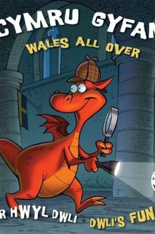 Cover of Llyfr Hwyl Dwli/ Dwli's Fun Book: Cymru Gyfan/ Wales All Over