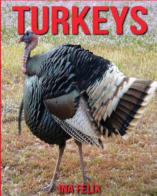 Book cover for Turkeys