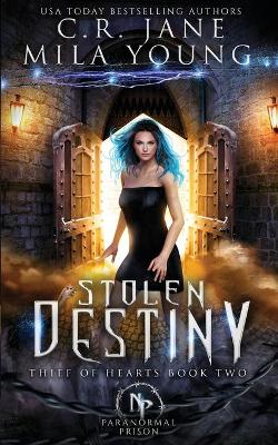 Book cover for Stolen Destiny