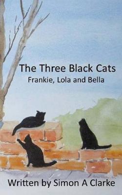 Book cover for The Three Black Cats