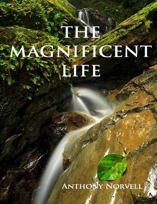 Book cover for The Magnificent Life