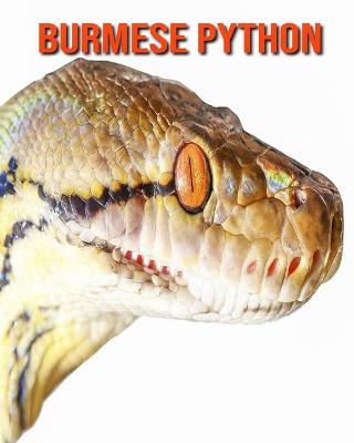 Book cover for Burmese Python