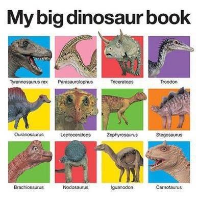 Book cover for My Big Dinosaur Book