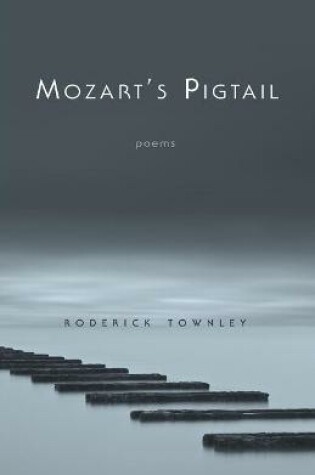 Cover of Mozart's Pigtail