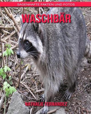 Book cover for Waschbär