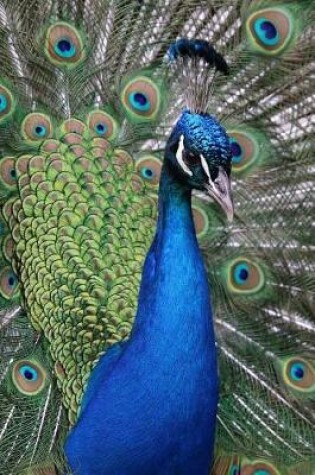 Cover of Stunning Peacock Portrait Journal