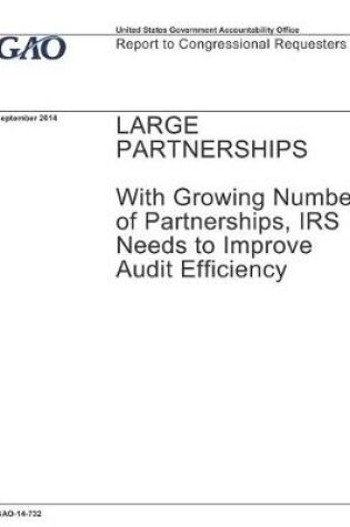 Cover of Large Partnerships