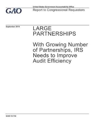 Book cover for Large Partnerships