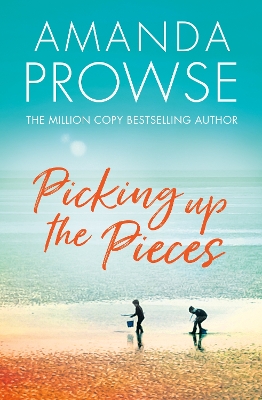 Book cover for Picking up the Pieces