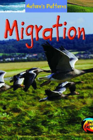 Cover of Natures Patterns: Migration