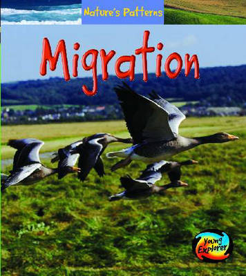 Book cover for Natures Patterns: Migration