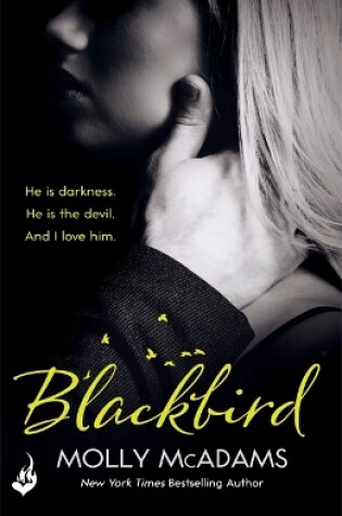 Cover of Blackbird