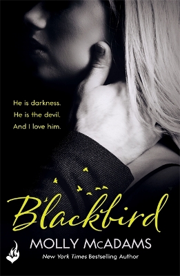 Book cover for Blackbird