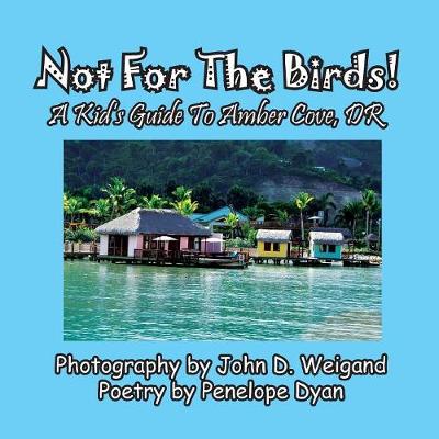 Book cover for Not For The Birds! A Kid's Guide To Amber Cove, DR