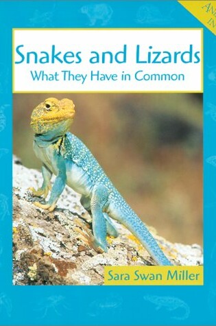 Cover of Snakes and Lizards