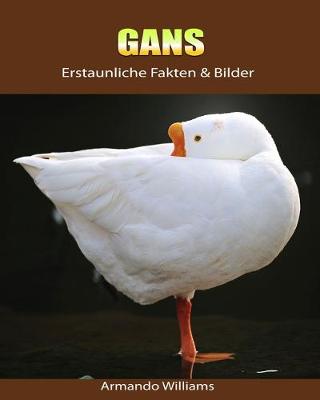 Book cover for Gans