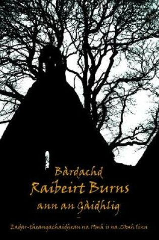 Cover of Bardachd Raibeirt Burns