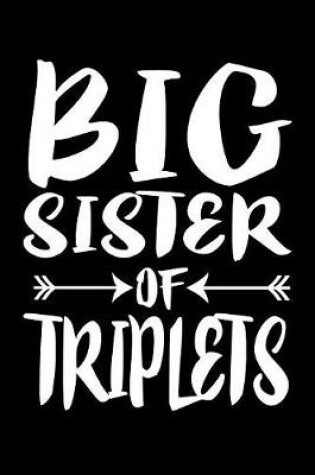 Cover of Big Sister Of Triplets