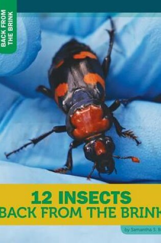 Cover of 12 Insects Back from the Brink