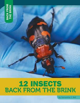Cover of 12 Insects Back from the Brink