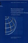 Book cover for Restructuring Large Industrial Firms in Central and Eastern Europe