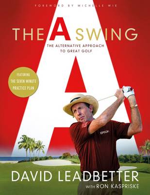 Book cover for A Swing