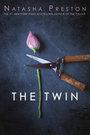 Book cover for Twin