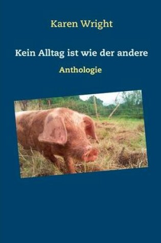 Cover of Kein Alltag Ist Wie Der Andere