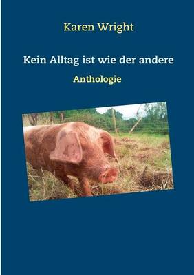 Book cover for Kein Alltag Ist Wie Der Andere