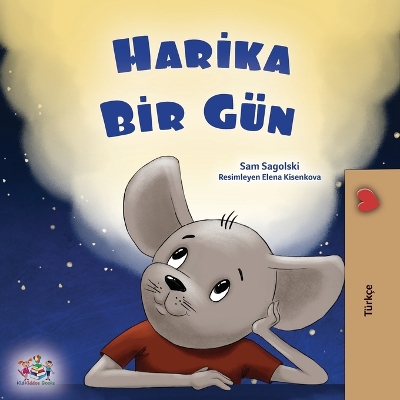 Book cover for A Wonderful Day (Turkish Book for Children)