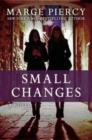 Cover of Small Changes