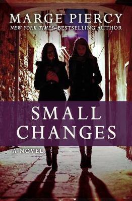 Book cover for Small Changes