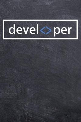 Book cover for Developer