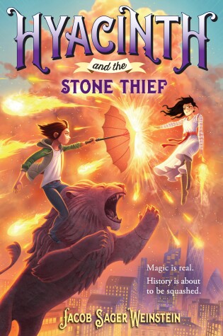 Cover of Hyacinth and the Stone Thief