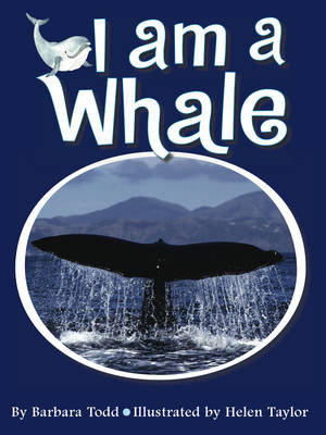 Book cover for I am a Whale