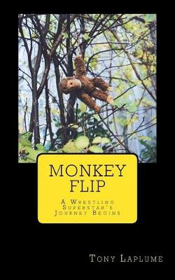 Book cover for Monkey Flip
