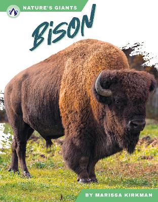 Book cover for Bison