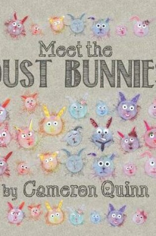 Cover of Meet the Dust Bunnies