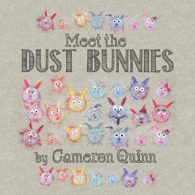 Cover of Meet the Dust Bunnies