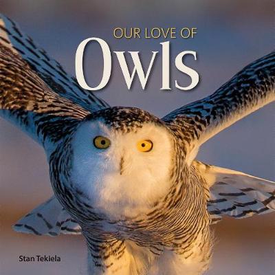 Book cover for Our Love of Owls