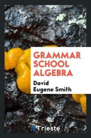 Cover of Grammar School Algebra