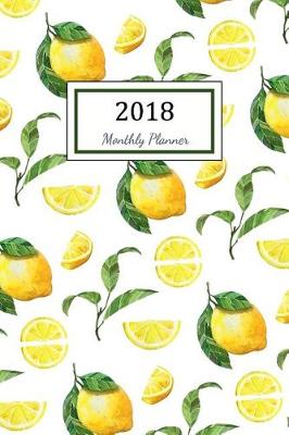 Cover of 2018 Monthly Planner