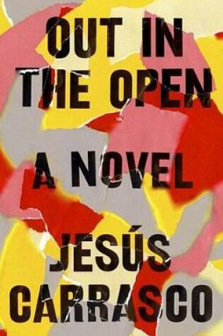 Cover of Out in the Open