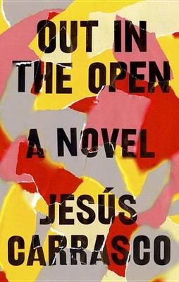 Book cover for Out in the Open