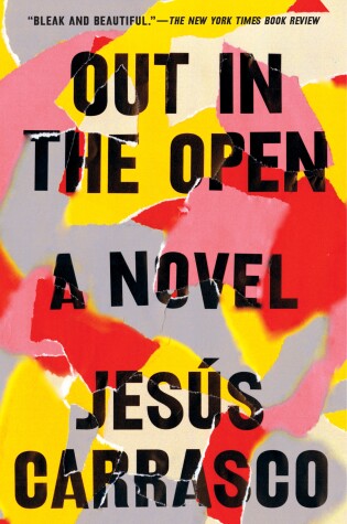 Cover of Out in the Open