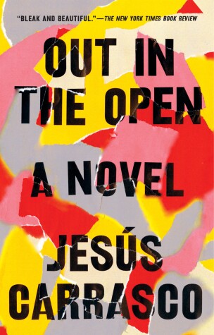 Book cover for Out in the Open