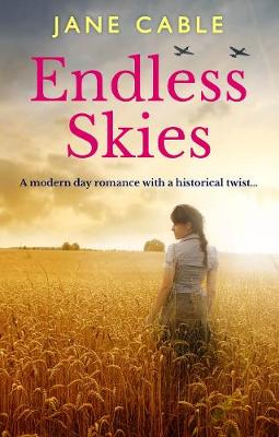 Book cover for Endless Skies