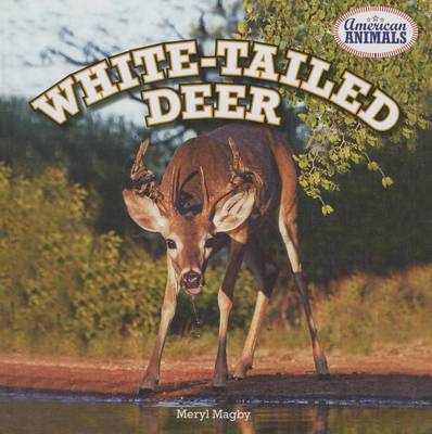 Book cover for White-Tailed Deer