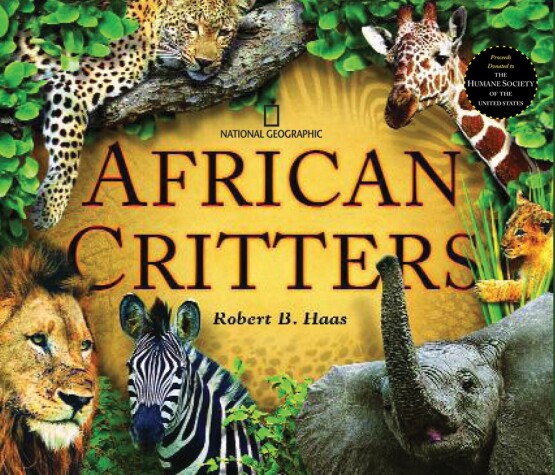 Book cover for African Critters