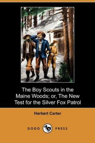 Cover of The Boy Scouts in the Maine Woods; Or, the New Test for the Silver Fox Patrol (Dodo Press)